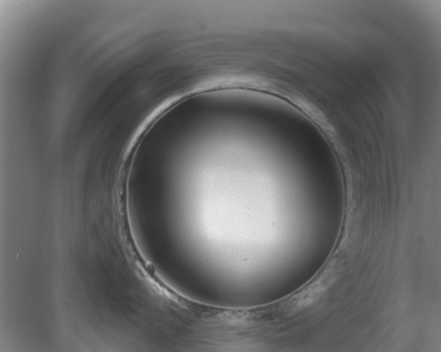 X0000081420912200701191552