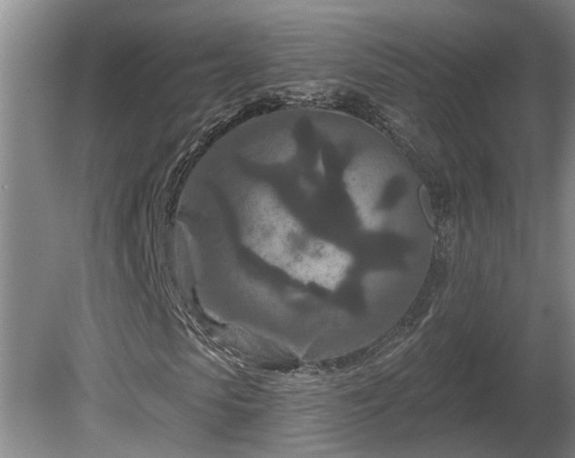X0000081420913200701191552