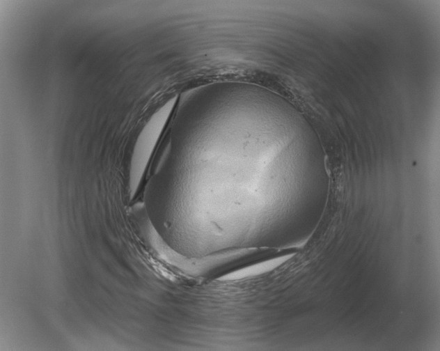 X0000081420916200701191552