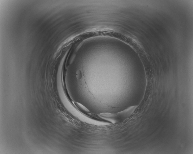 X0000081420920200701191552