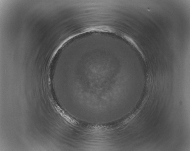 X0000081420923200701191552