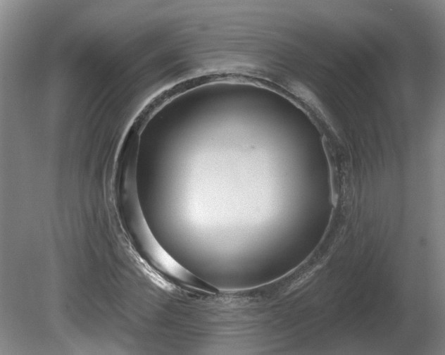 X0000081420924200701191552