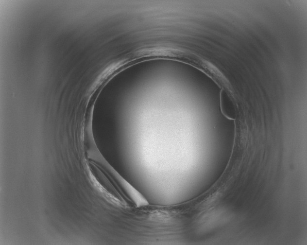 X0000081420938200701191552