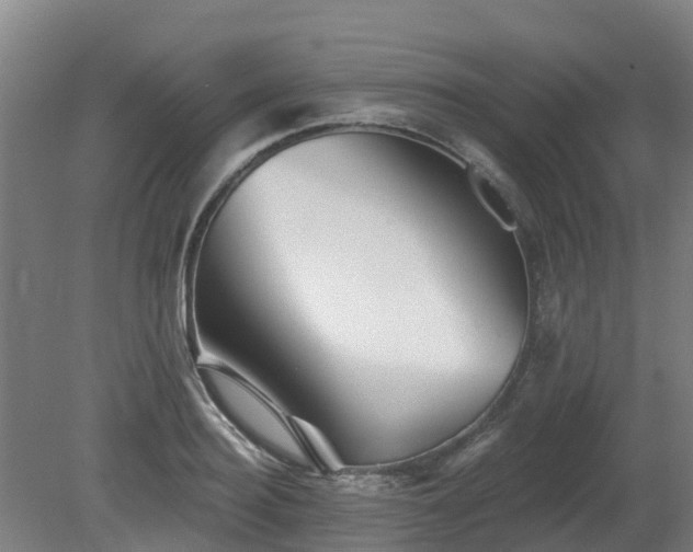 X0000081420940200701191552