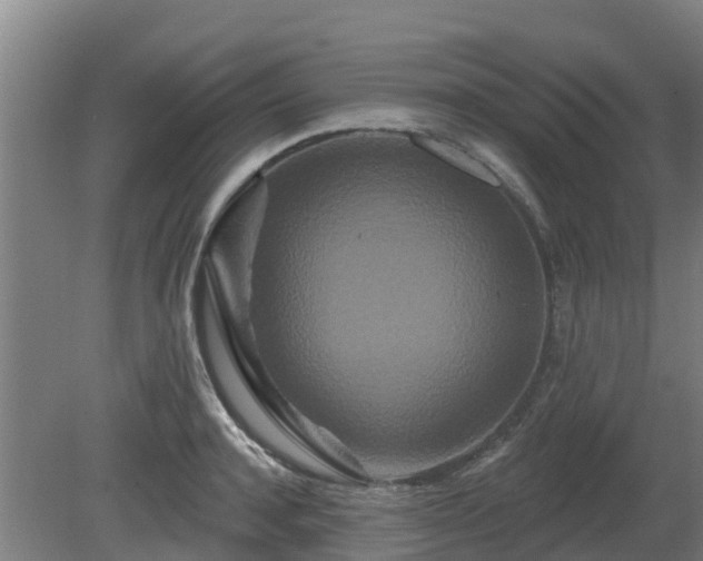 X0000081420944200701191552