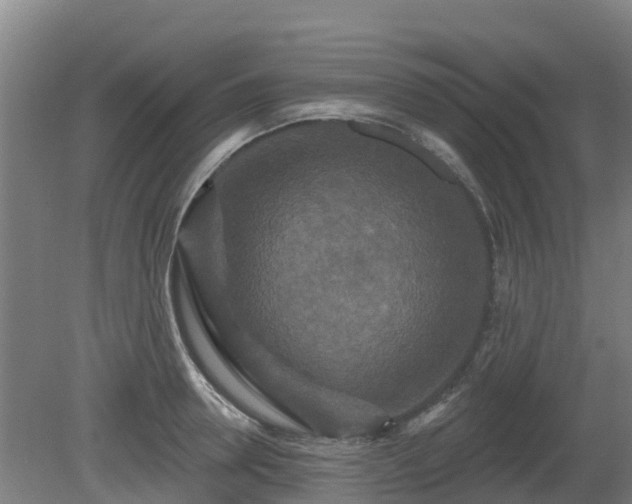 X0000081420946200701191552