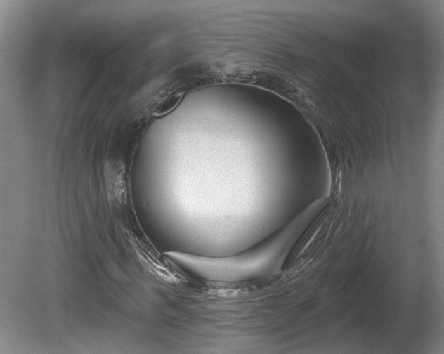 X0000081420963200701191552