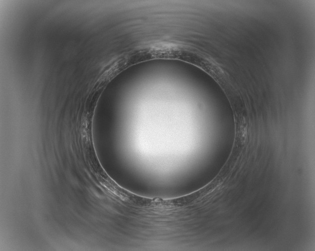 X0000081420964200701191552