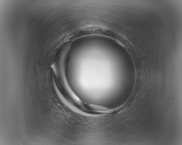 X0000081420965200701191552