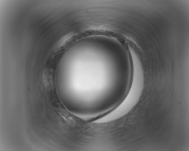 X0000081420968200701191551