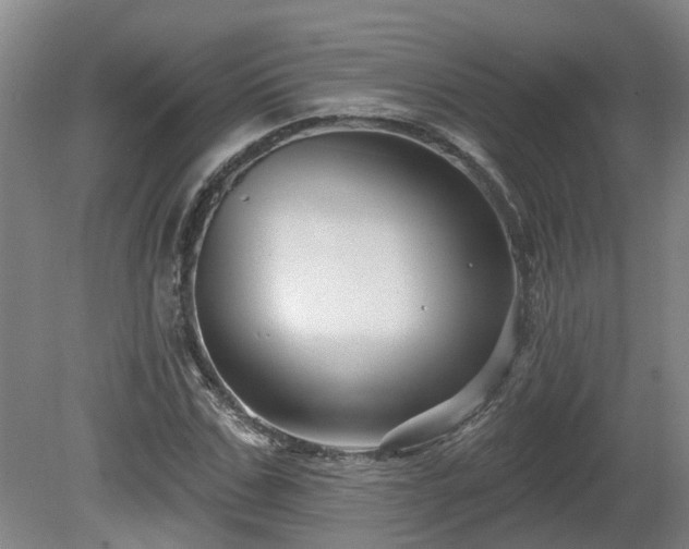 X0000081420971200701191551