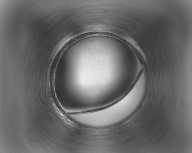 X0000081420972200701191551