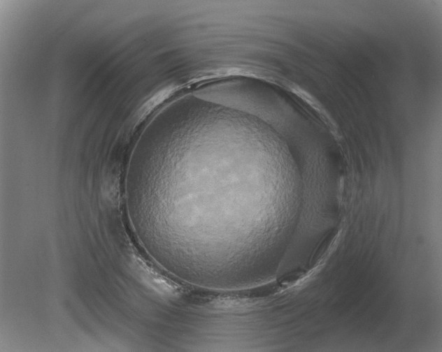 X0000081420977200701191551
