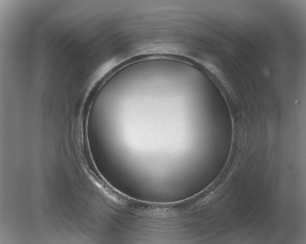 X0000081420982200701191551