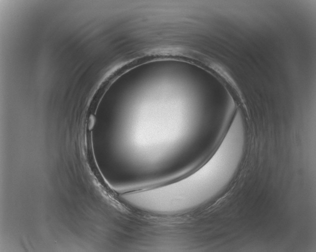 X0000081420984200701191551