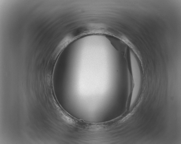 X0000081420993200701191551