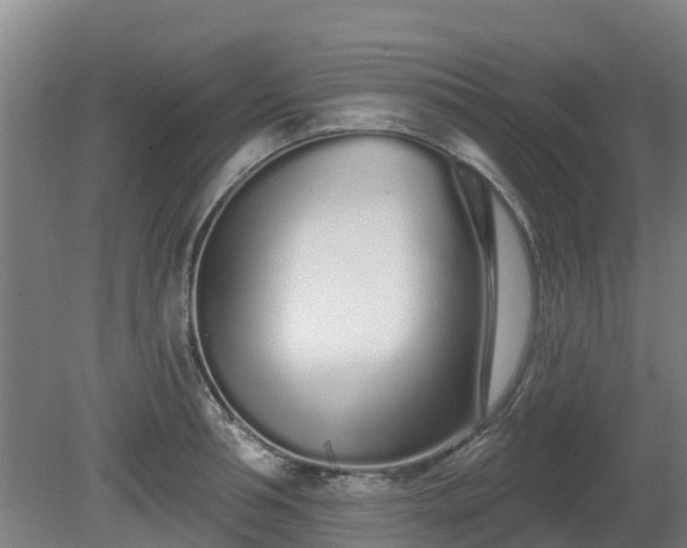 X0000081420994200701191551