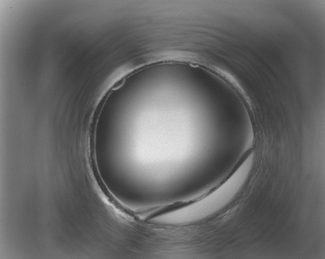 X0000081420999200701191551