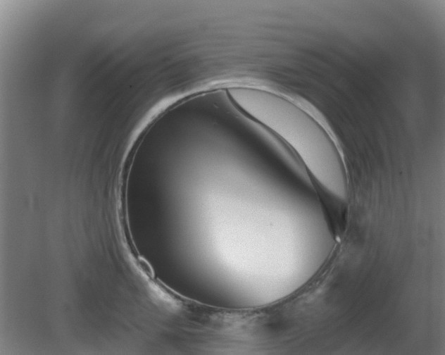 X0000081421005200701191551