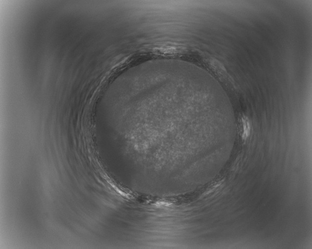 X0000081421009200701191550