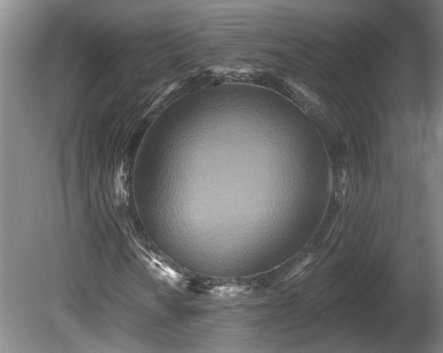 X0000081421010200701191550