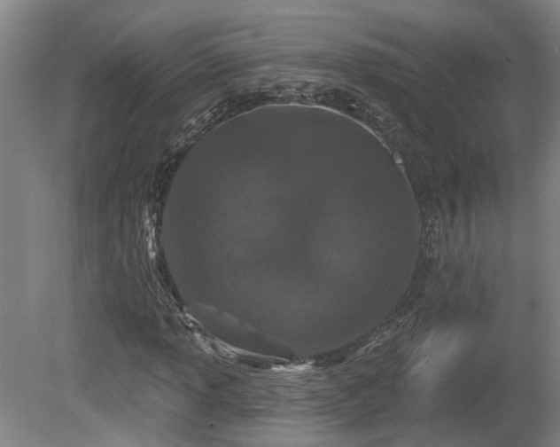 X0000081421013200701191550