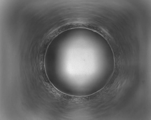 X0000081421015200701191550