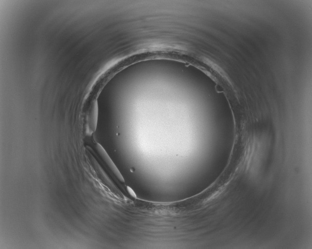 X0000081421021200701191550