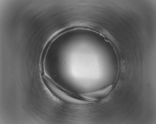 X0000081421028200701191550