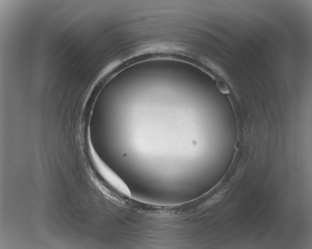 X0000081421029200701191550