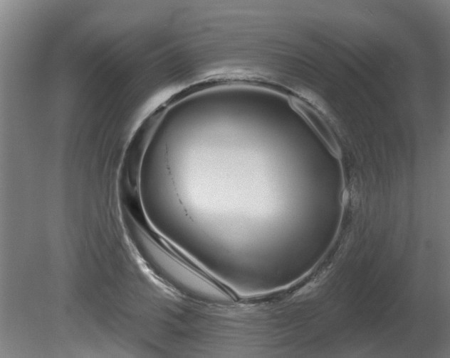 X0000081421030200701191550