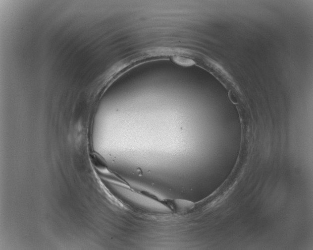 X0000081421033200701191550