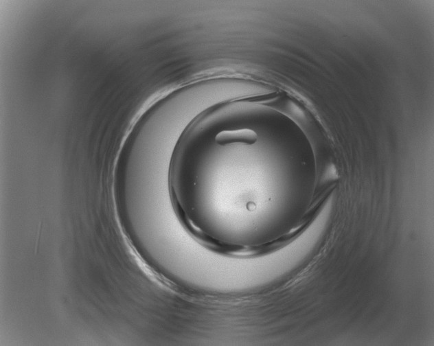 X0000081421034200701191550