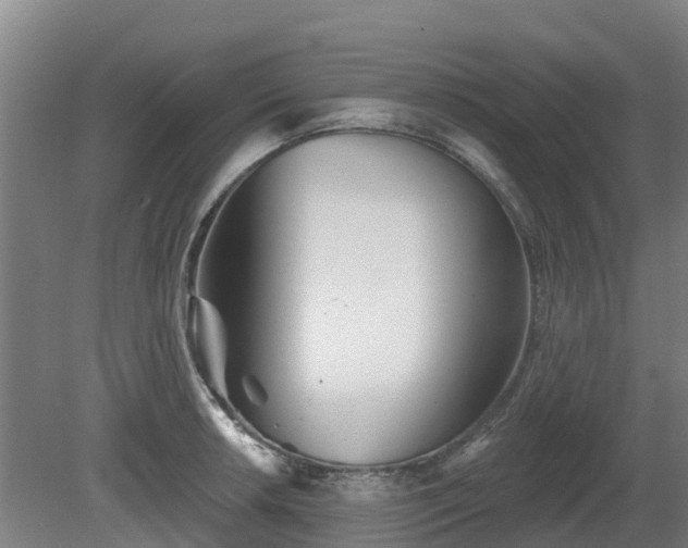 X0000081421042200701191551