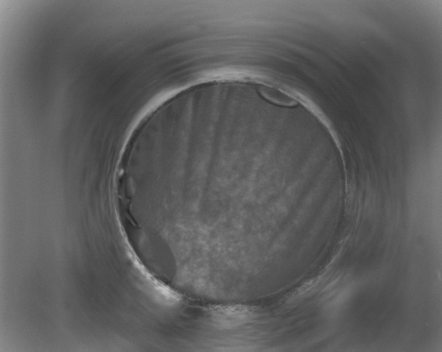 X0000081421045200701191551