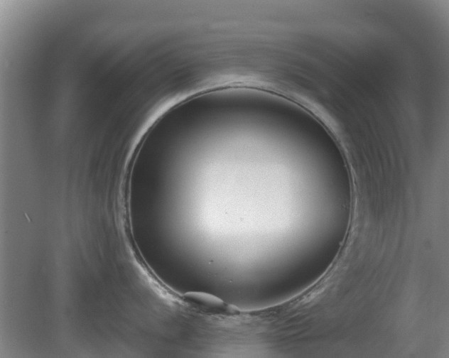 X0000081421056200701191551