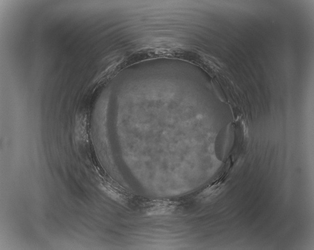 X0000081421060200701191550