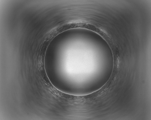 X0000081421062200701191550