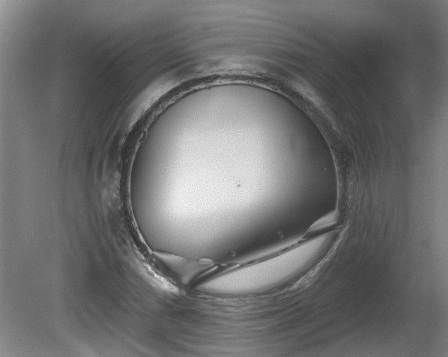 X0000081421066200701191550