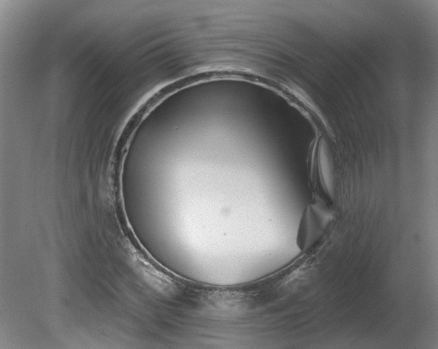 X0000081421068200701191550