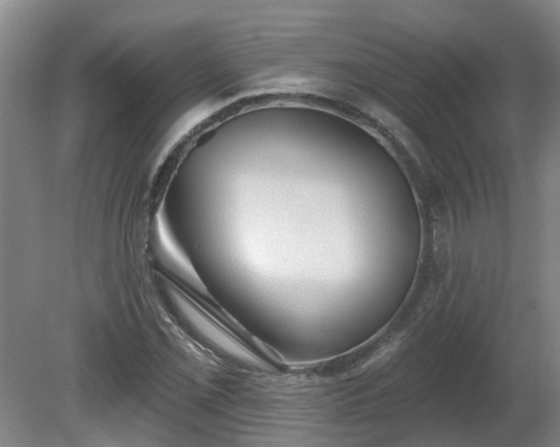 X0000081421069200701191550
