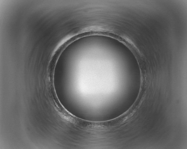 X0000081421070200701191550