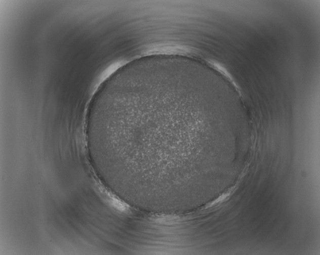 X0000081421071200701191550