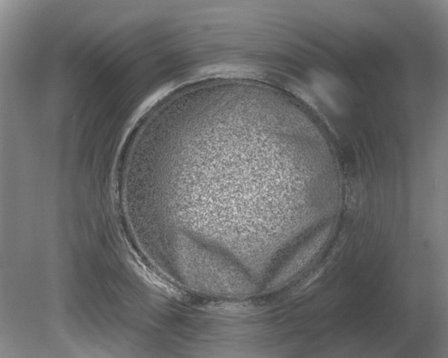 X0000081421074200701191550