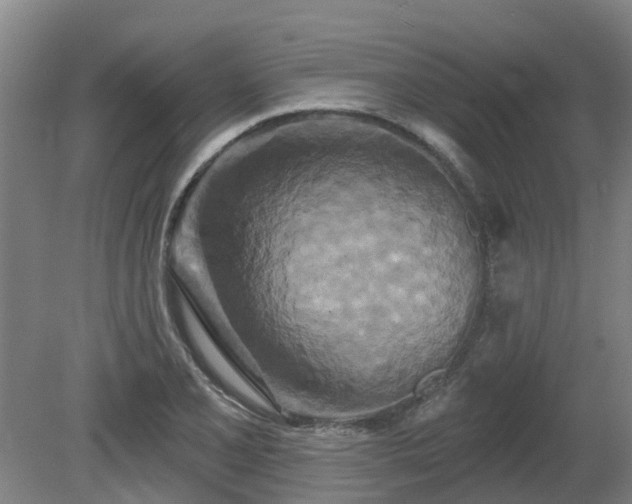 X0000081421077200701191550