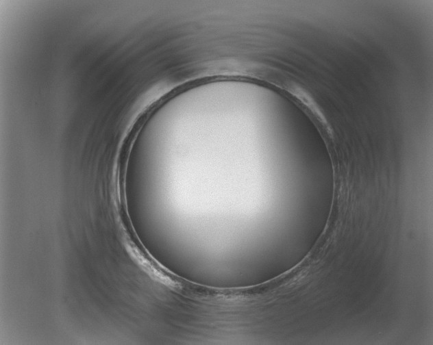 X0000081421080200701191550