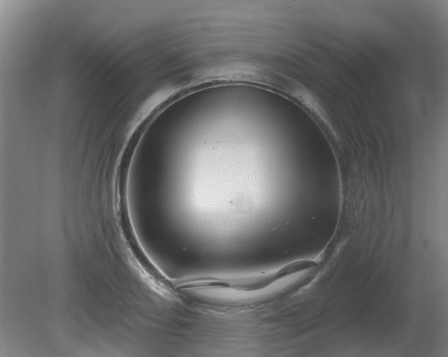 X0000081421082200701191550