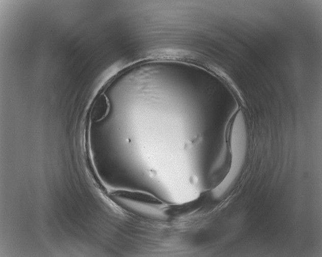 X0000081421083200701191550