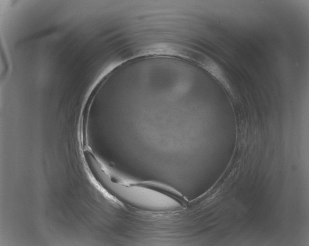 X0000081421084200701191550