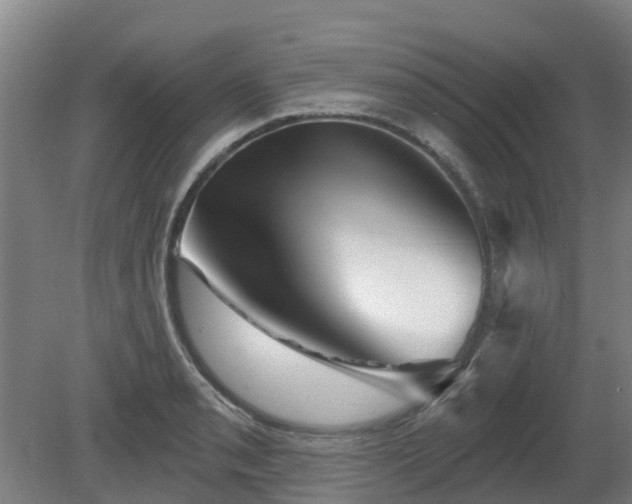 X0000081421085200701191550